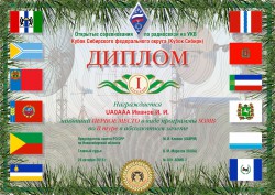 диплом_2 тур_абсолютный зачет.jpg